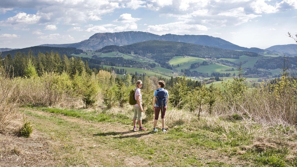 Hiking Route Boden-Rechbergkogel-Greithweg (R10) - Touren-Impression #2.4