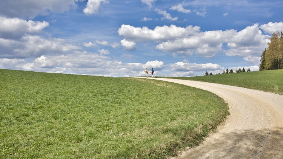Hiking Route Boden-Rechbergkogel-Greithweg (R10) - Touren-Impression #2.6