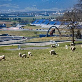 Red Bull Ring Frühing | © Erlebnisregion Murtal