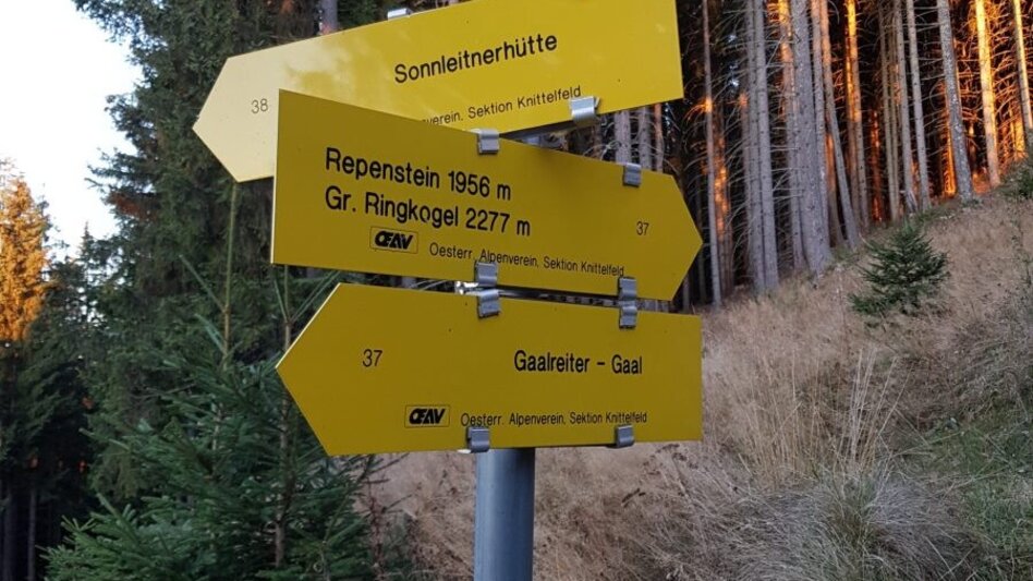 Hiking Route Pletzen via Gaalreiter - Touren-Impression #2.4 | © Martin Muhrer / bergfexmartin.at