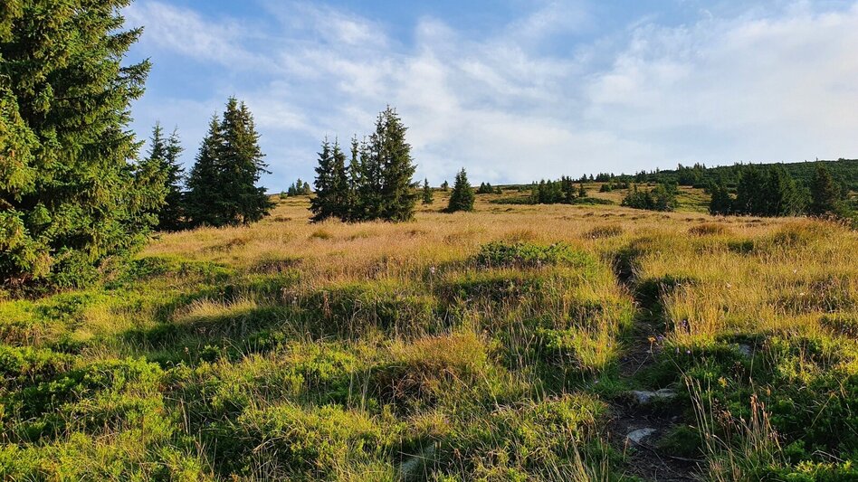 Hiking Route Pletzen via Gaalreiter - Touren-Impression #2.2 | © Martin Muhrer / bergfexmartin.at