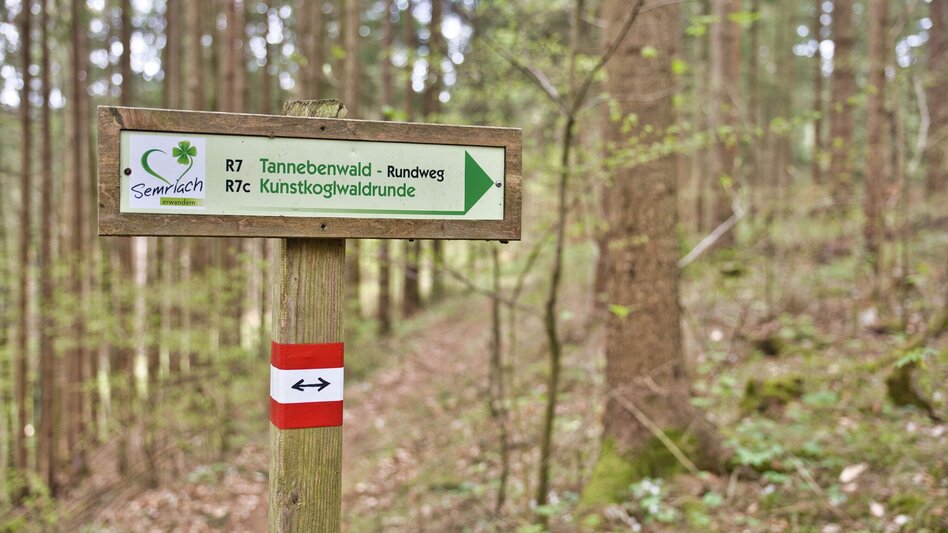 Hiking Route Tannebenwald Loop (R7) with Kunstkogel Trail - Touren-Impression #2.4 | © WEGES OG