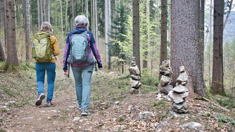Hiking Route Tannebenwald Loop (R7) with Kunstkogel Trail - Touren-Impression #2.5 | © WEGES OG