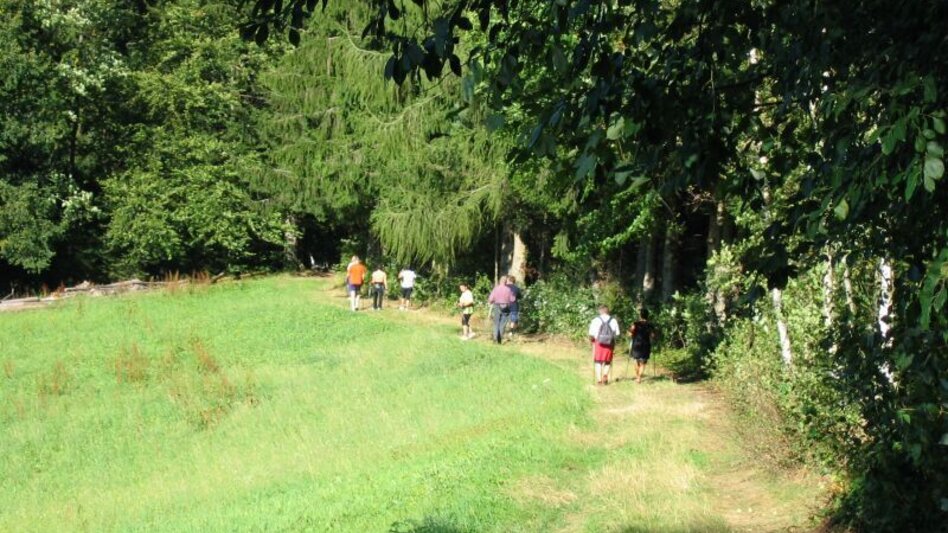 Hiking Route Lehrwanderweg (Educational Hiking Trail) (R11) - Touren-Impression #2.11 | © Janine Wenzel