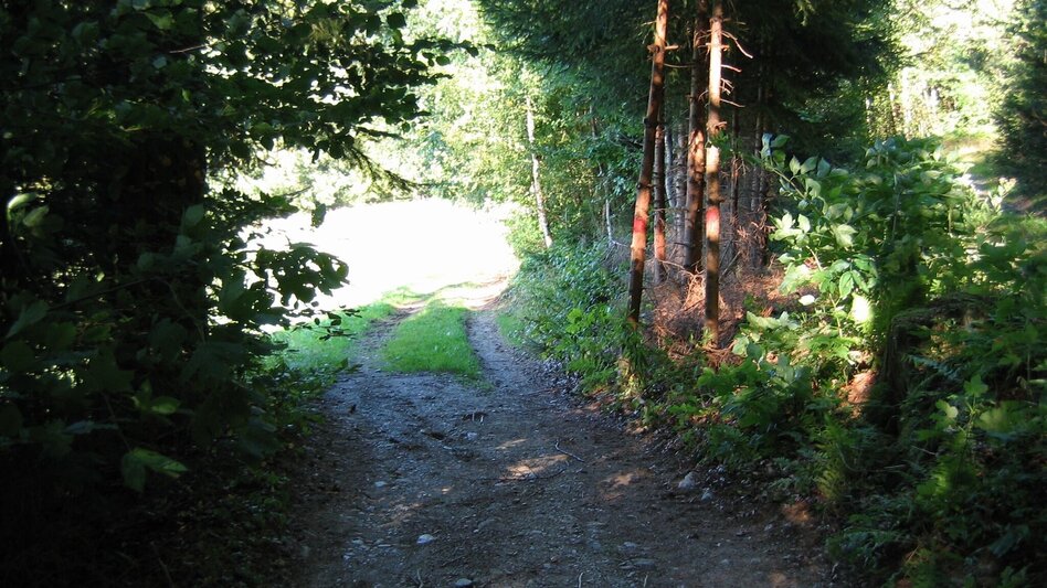 Hiking Route Lehrwanderweg (Educational Hiking Trail) (R11) - Touren-Impression #2.12 | © Janine Wenzel