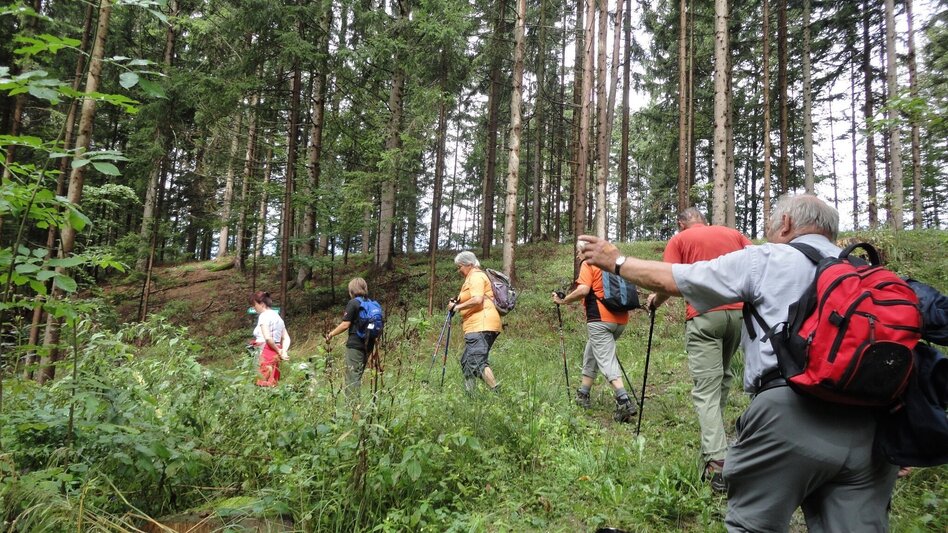 Hiking Route Lehrwanderweg (Educational Hiking Trail) (R11) - Touren-Impression #2.13 | © Janine Wenzel