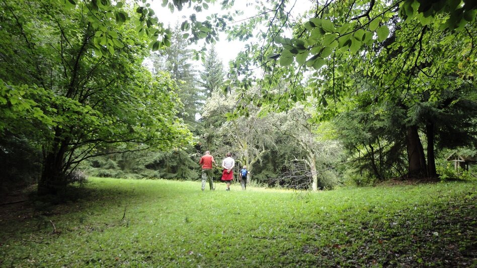 Hiking Route Lehrwanderweg (Educational Hiking Trail) (R11) - Touren-Impression #2.16 | © Janine Wenzel