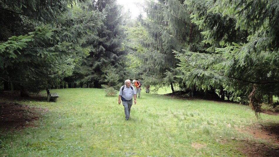 Hiking Route Lehrwanderweg (Educational Hiking Trail) (R11) - Touren-Impression #2.14 | © Janine Wenzel