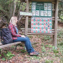 Infotafeln am Lehrwanderweg | © Janine Wenzel
