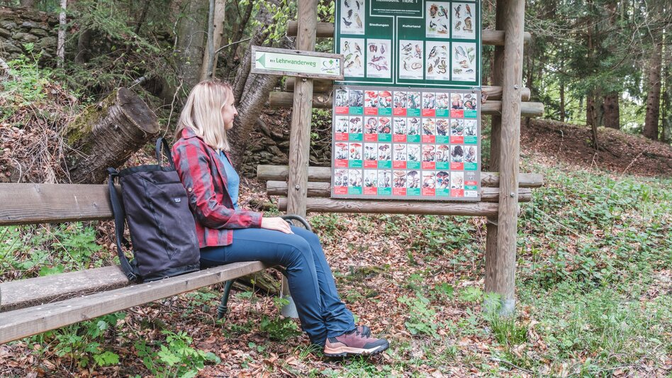 Hiking Route Lehrwanderweg (Educational Hiking Trail) (R11) - Touren-Impression #2.1 | © Janine Wenzel