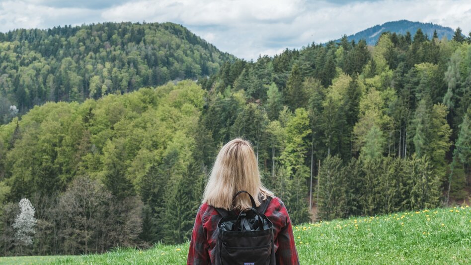 Hiking Route Lehrwanderweg (Educational Hiking Trail) (R11) - Touren-Impression #2.7 | © Janine Wenzel