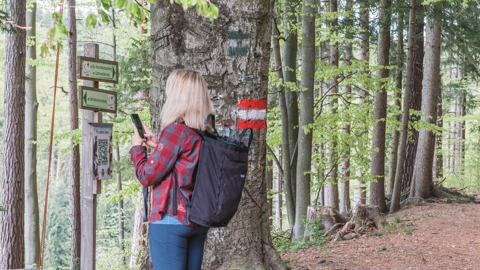 Hiking Route Lehrwanderweg (Educational Hiking Trail) (R11) - Touren-Impression #2.8 | © Janine Wenzel