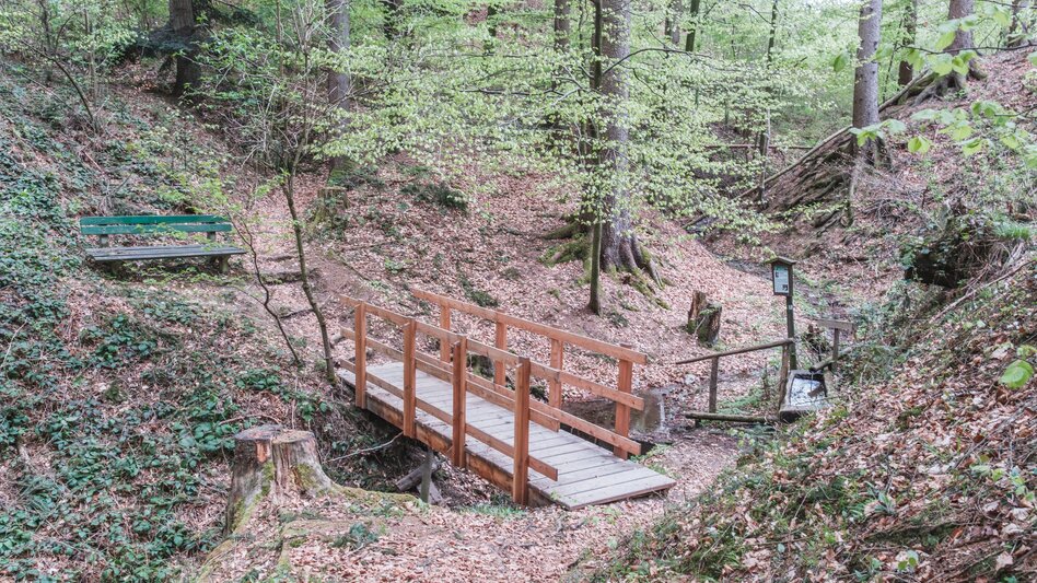 Hiking Route Lehrwanderweg (Educational Hiking Trail) (R11) - Touren-Impression #2.9 | © Janine Wenzel