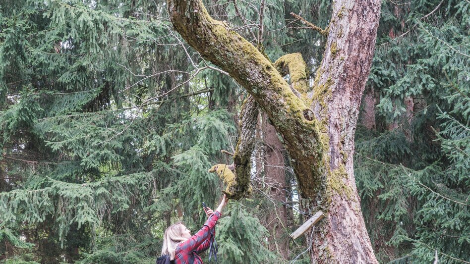 Hiking Route Lehrwanderweg (Educational Hiking Trail) (R11) - Touren-Impression #2.10 | © Janine Wenzel