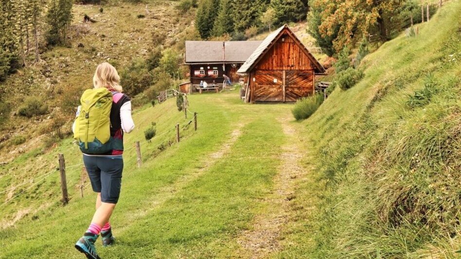 Hiking Route Hochalm - Maria Schnee via Fressenberg - Touren-Impression #2.2 | © Erlebnisregion Murtal