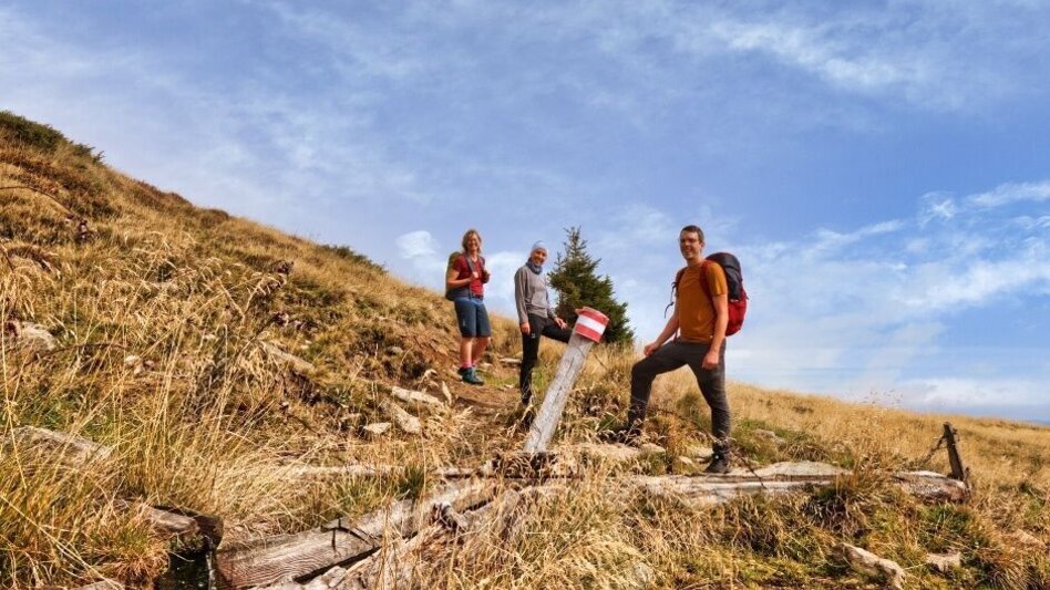 Hiking Route Hochalm - Maria Schnee via Fressenberg - Touren-Impression #2.4 | © Erlebnisregion Murtal