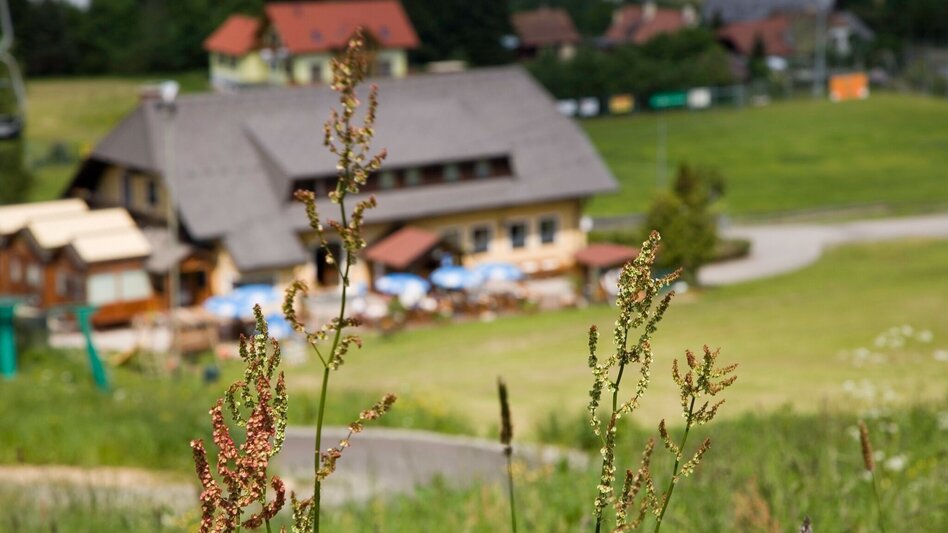 Hiking Route Gaaler Höhe starting from Gaal - Touren-Impression #2.1 | © Erlebnisregion Murtal