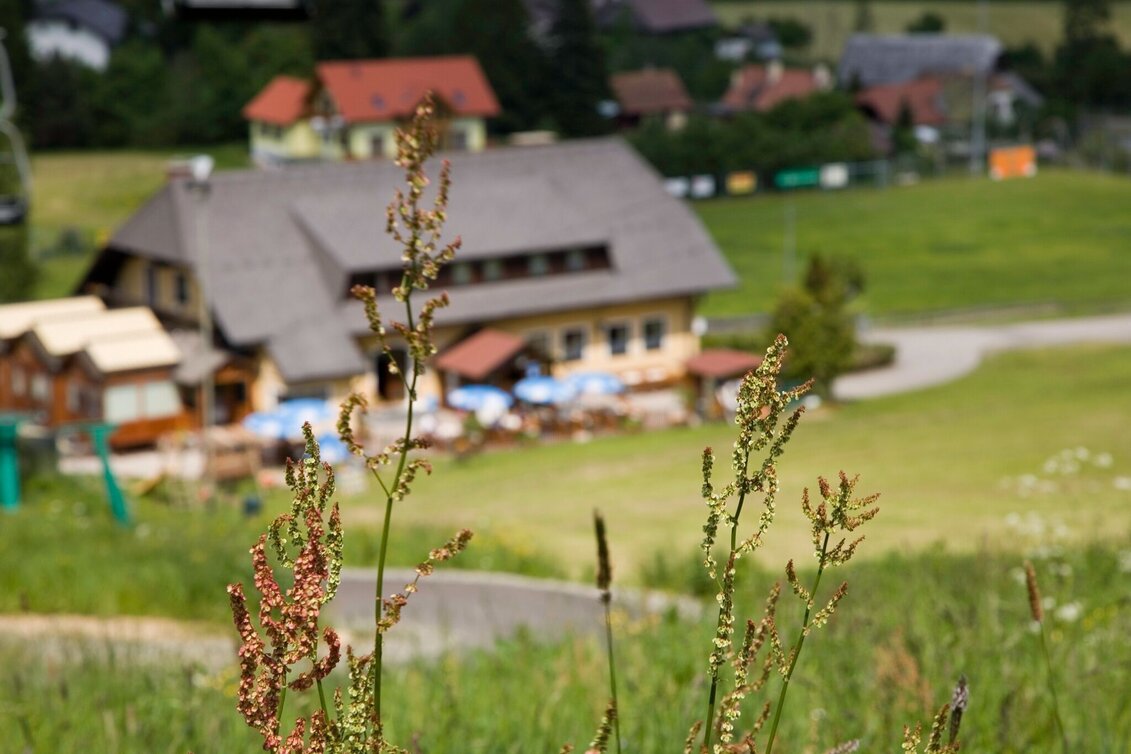 Hiking Route Gaaler Höhe starting from Gaal - Touren-Impression #1 | © Erlebnisregion Murtal