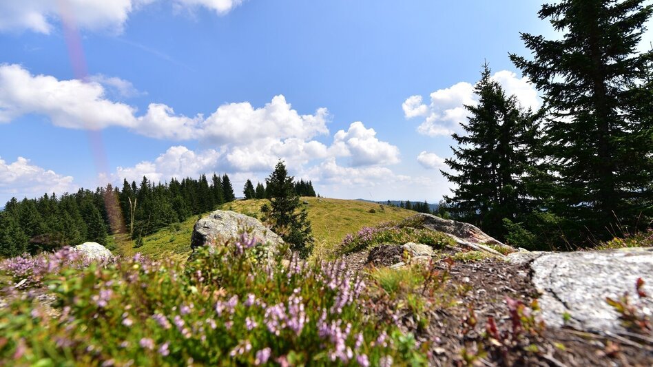 Hiking Route Steinplan via Gaberl - Touren-Impression #2.2 | © Erlebnisregion Murtal