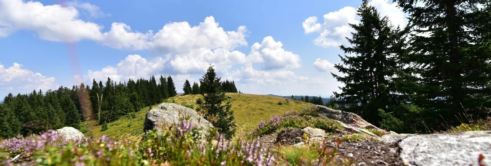 Hiking route Steinplan via Gaberl - Touren-Impression #1 | © Erlebnisregion Murtal