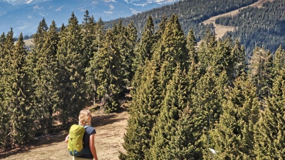 Hiking Route Steinplan via Gaberl - Touren-Impression #2.5 | © Weges OG