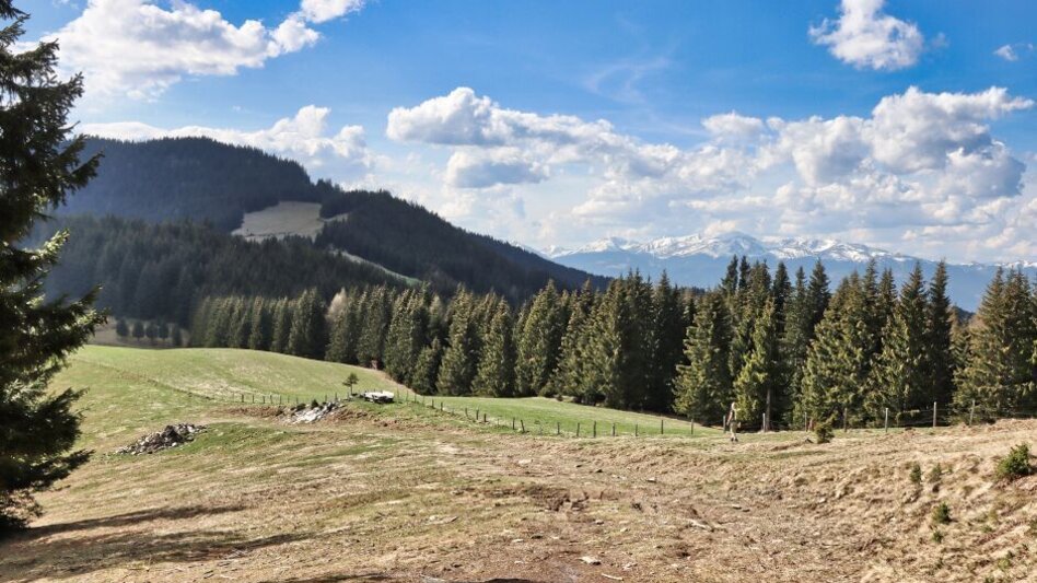 Hiking Route Steinplan via Gaberl - Touren-Impression #2.9 | © Weges OG