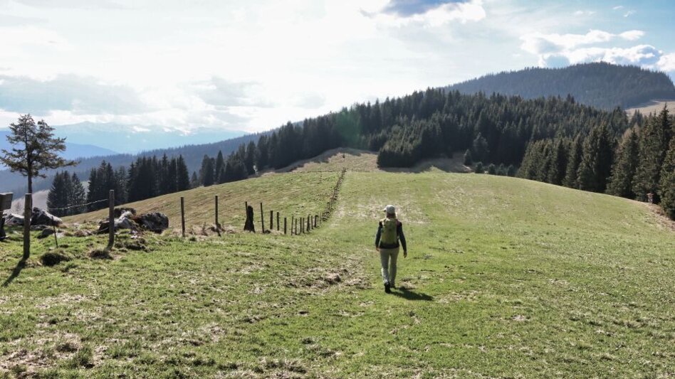 Hiking Route Steinplan via Gaberl - Touren-Impression #2.10 | © Weges OG