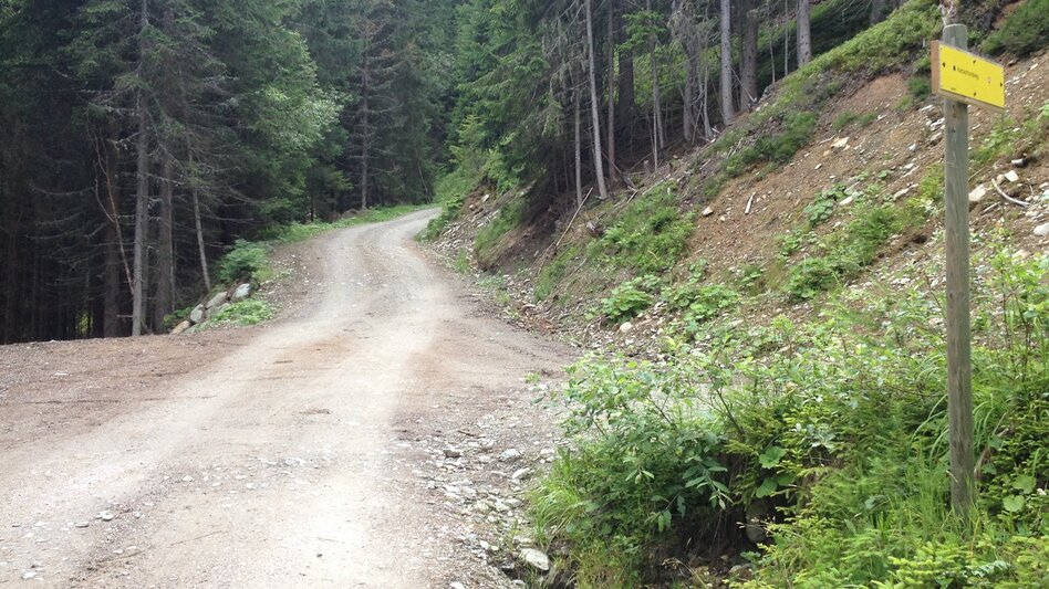 Kinderwagenmeilen Karbachrundweg Hochwurzen - Touren-Impression #2.1 | © Gerhard Pilz