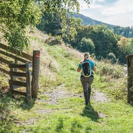Wanderweg bei Präbichl und Glett | © Janine Wenzel