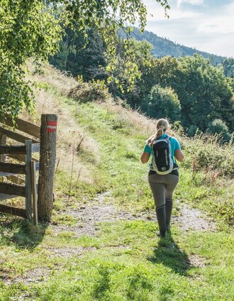 Wanderweg bei Präbichl und Glett | Janine Wenzel | © Janine Wenzel