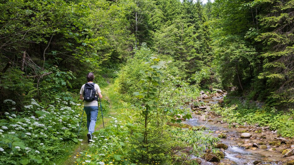 Hiking Route Mandling Trail - Touren-Impression #2.7