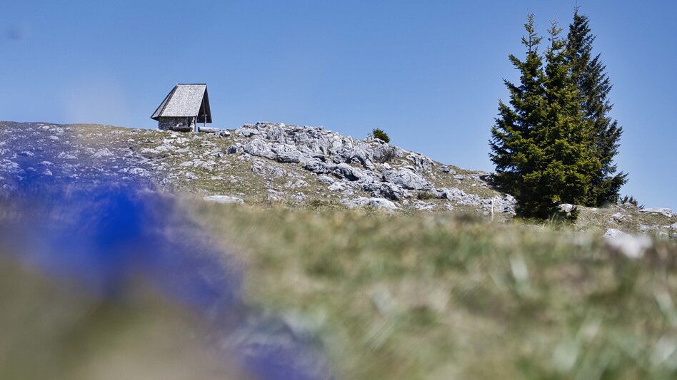 Wanderung Schöcklwanderung (R14) - Touren-Impression #2.5