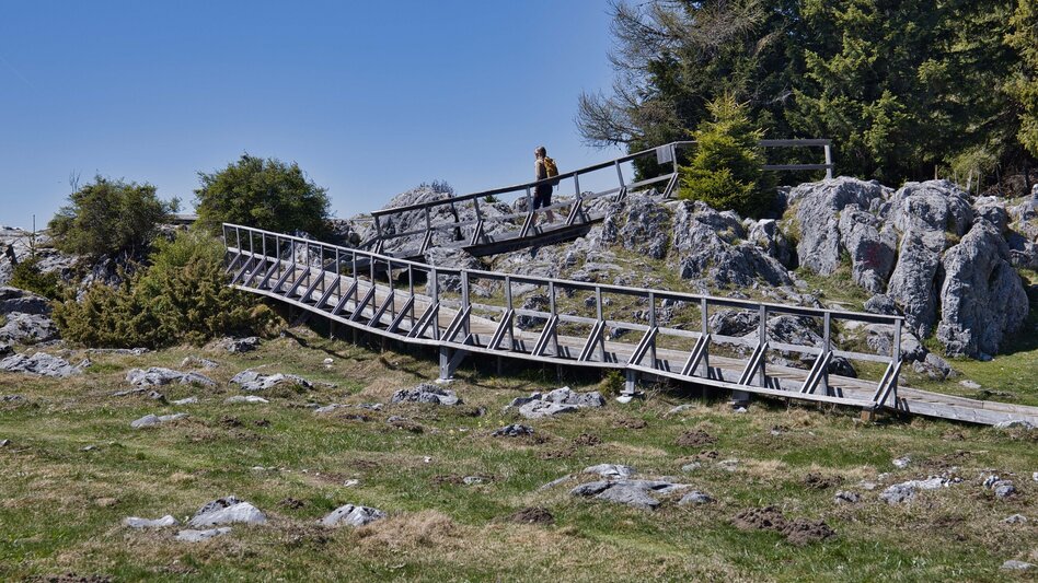 Wanderung Schöcklwanderung (R14) - Touren-Impression #2.8
