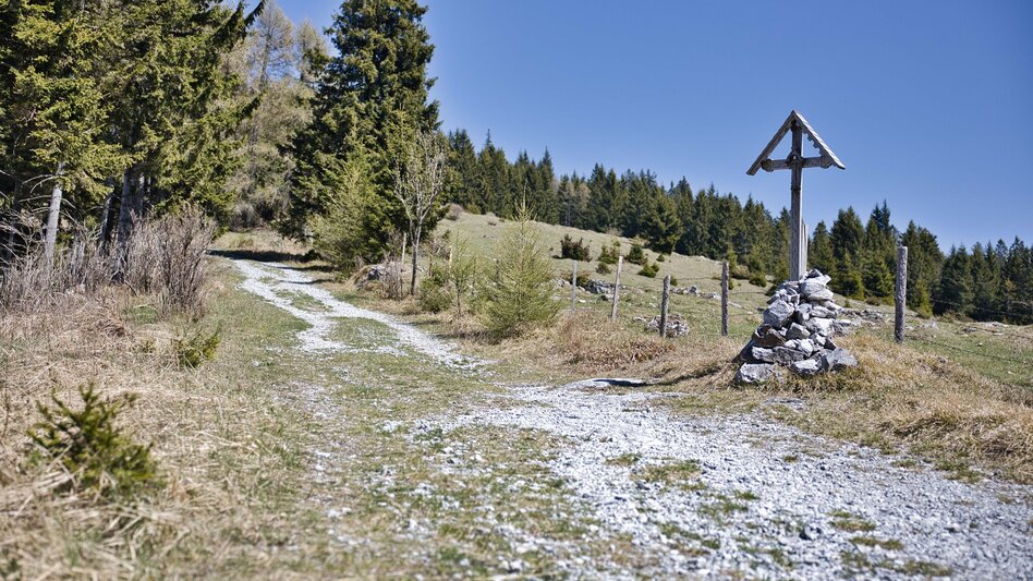 Wanderung Schöcklwanderung (R14) - Touren-Impression #2.10
