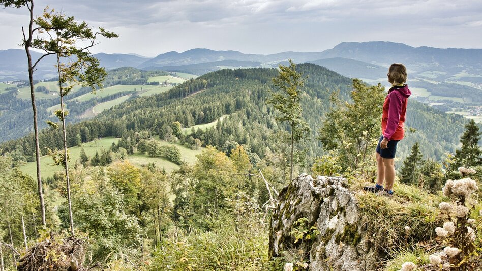 Wanderung Hochtrötsch-Rundwanderweg (R8) - Touren-Impression #2.7