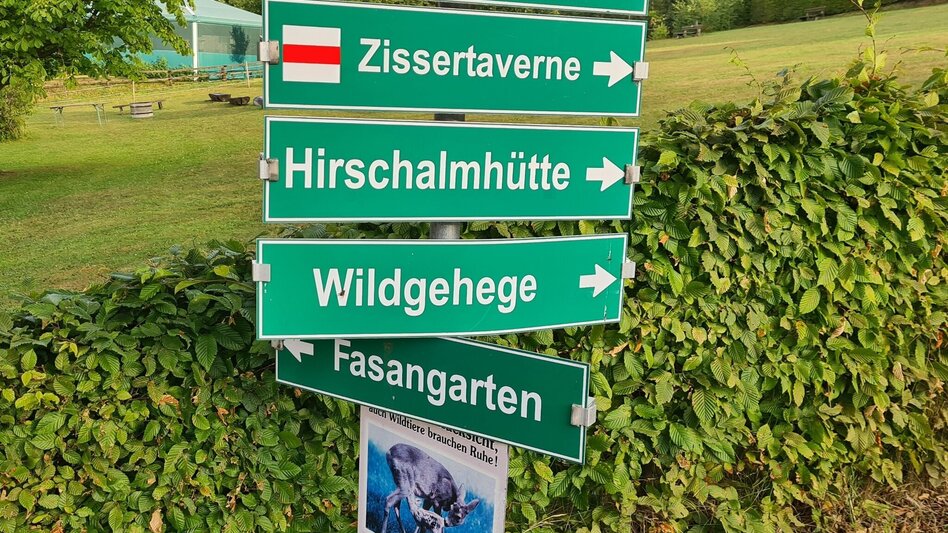 Themen- und Lehrpfad Waldlehrpfad Masenberg, Pöllauberg - lange Variante - Touren-Impression #2.3 | © Oststeiermark Tourismus