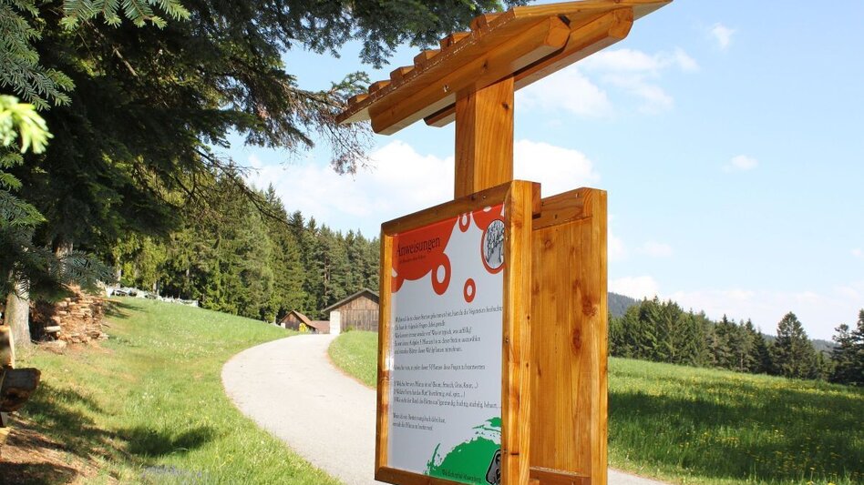 Themen- und Lehrpfad Waldlehrpfad Masenberg, Pöllauberg - lange Variante - Touren-Impression #2.4 | © Oststeiermark Tourismus