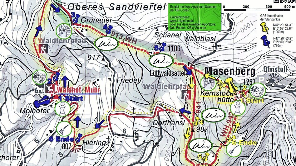Themen- und Lehrpfad Waldlehrpfad Masenberg, Pöllauberg - lange Variante - Touren-Impression #2.9 | © Oststeiermark Tourismus