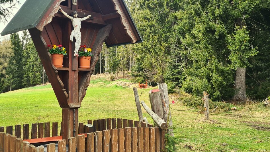 Themen- und Lehrpfad Waldlehrpfad Masenberg, Pöllauberg - lange Variante - Touren-Impression #2.6 | © Oststeiermark Tourismus