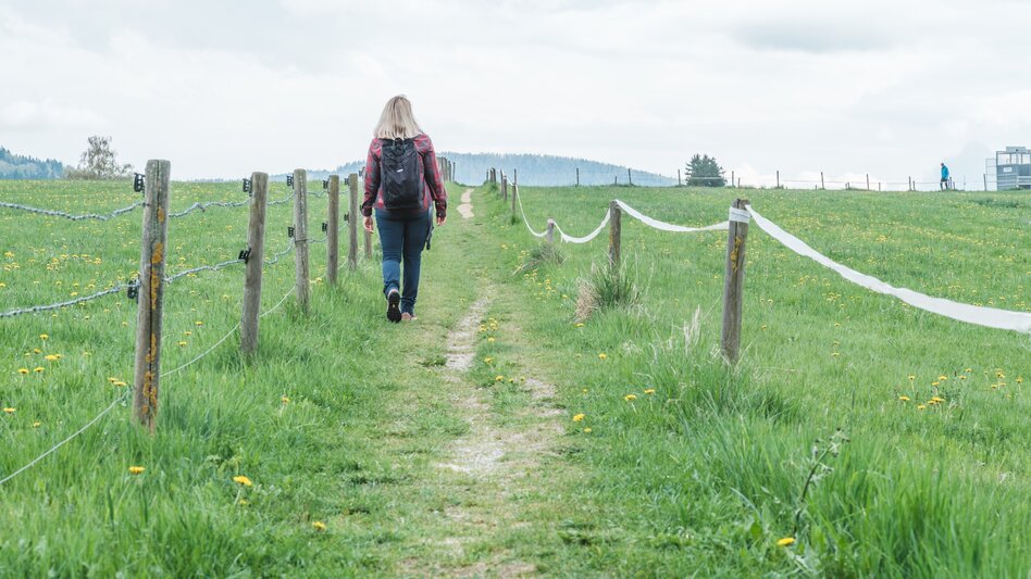 Hiking Route Small Panorama Circular Trail (R4) - Touren-Impression #2.2 | © Janine Wenzel