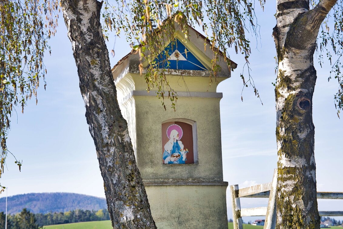 Hiking Route Windhof Circular Trail (R12) - Touren-Impression #1