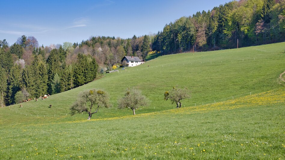Hiking Route Windhof Circular Trail (R12) - Touren-Impression #2.3