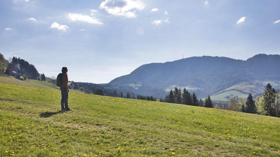 Hiking Route Windhof Circular Trail (R12) - Touren-Impression #2.4