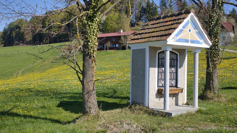 Hiking Route Windhof Circular Trail (R12) - Touren-Impression #2.5