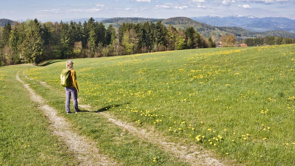 Hiking Route Windhof Circular Trail (R12) - Touren-Impression #2.10