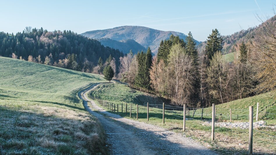 Hiking Route Rötschgraben Trail (R13) - Touren-Impression #2.4 | © Janine Wenzel