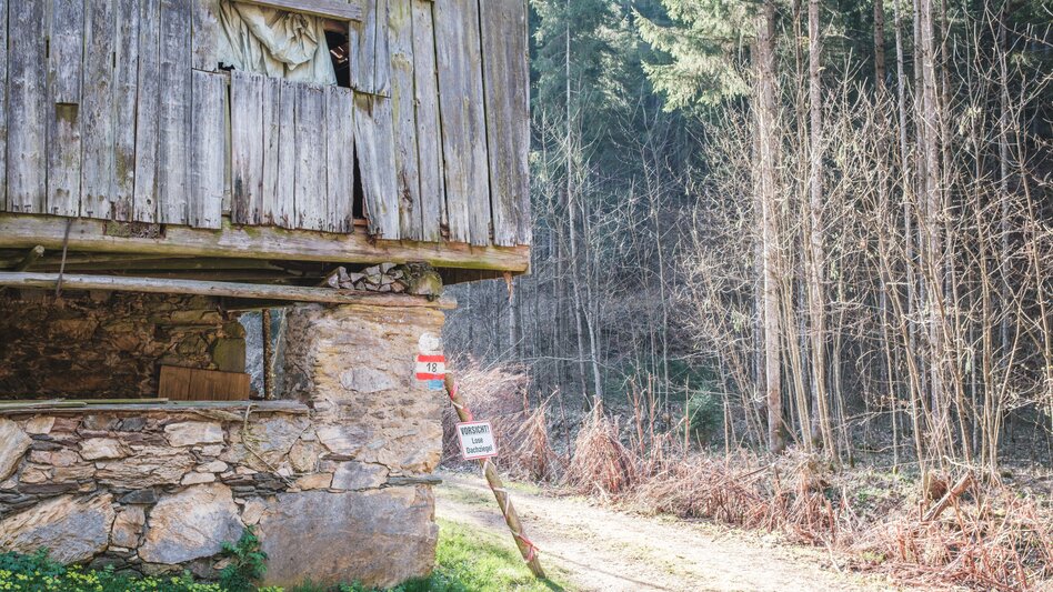 Hiking Route Rötschgraben Trail (R13) - Touren-Impression #2.5 | © Janine Wenzel