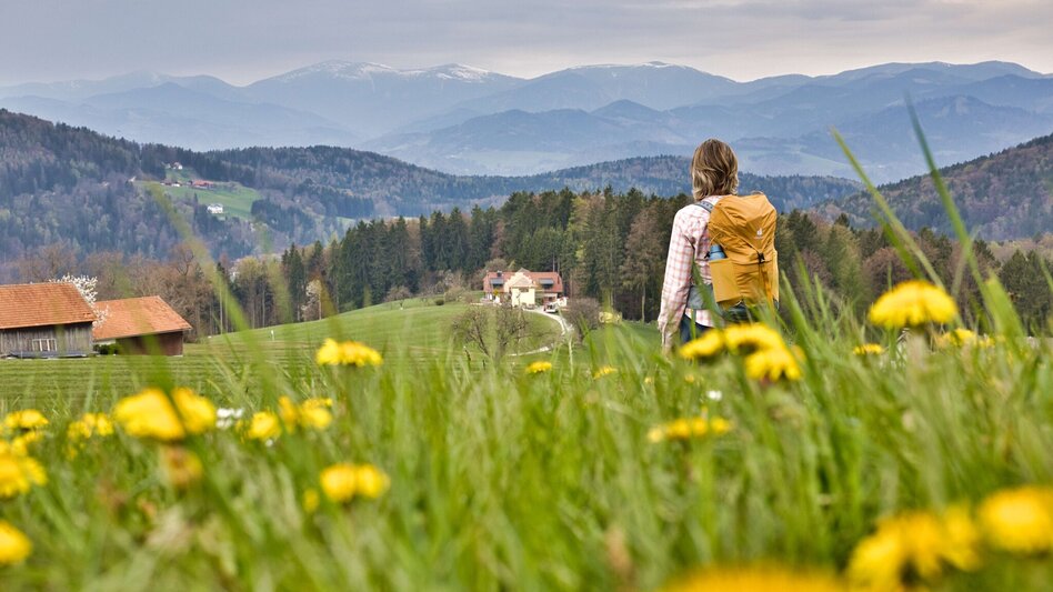 Wanderung Ulrichsbrunn-Rundweg (R2) - Touren-Impression #2.9 | © WEGES OG