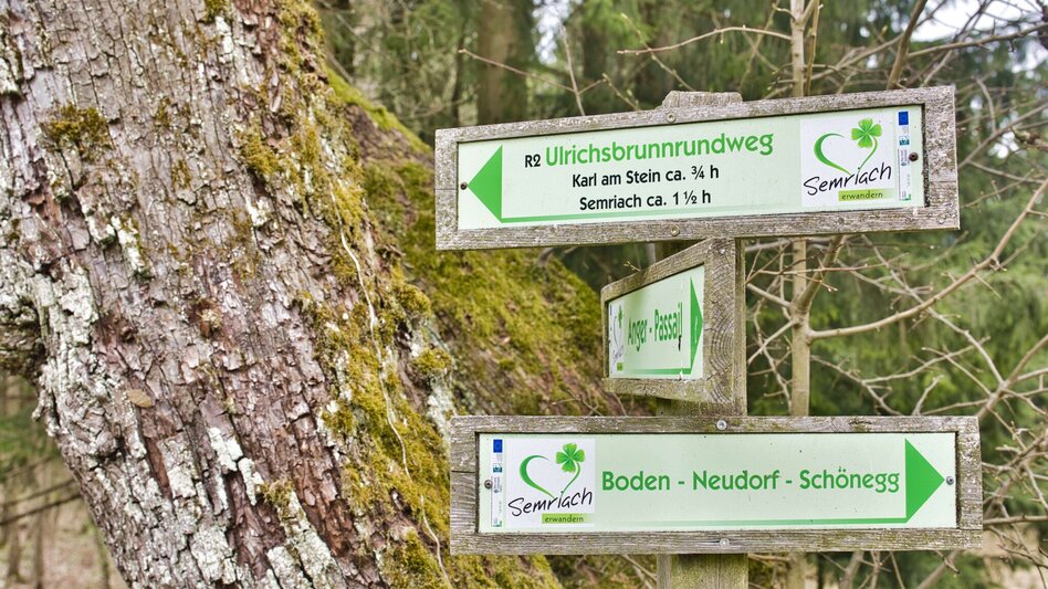 Wanderung Ulrichsbrunn-Rundweg (R2) - Touren-Impression #2.6 | © WEGES OG
