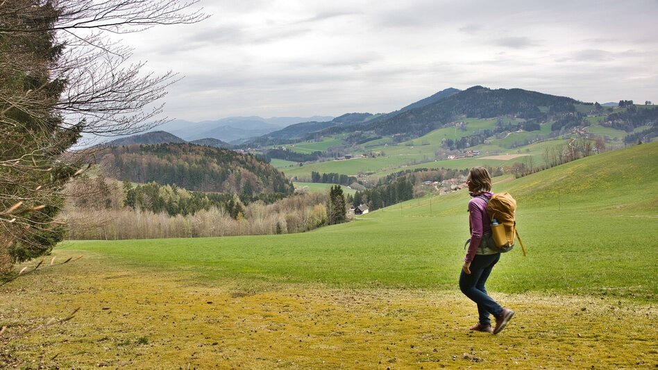 Wanderung Ulrichsbrunn-Rundweg (R2) - Touren-Impression #2.10 | © WEGES OG